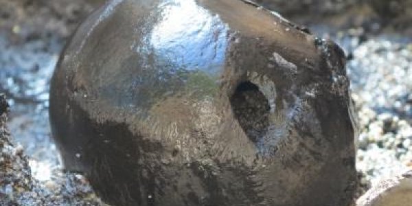 Macabre Archeology: Forty Hectares Of Remains Found In Denmark Bog