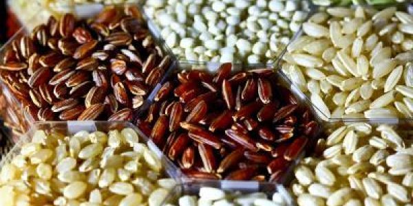 3,000 Rice Genome Sequences Made Publicly Available On World Hunger Day