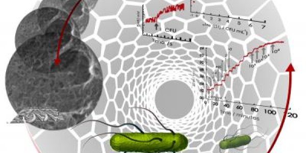 Biosensor Detects Bacteria Immediately