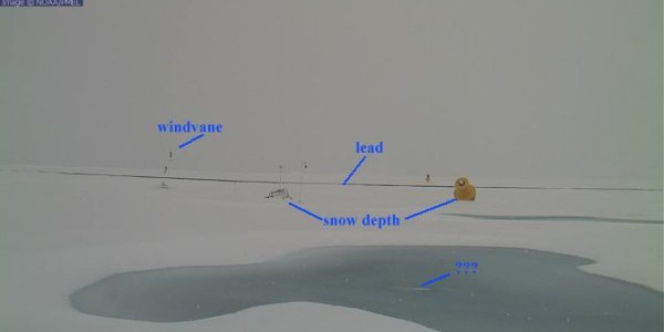 Arctic Ice July - Update #5