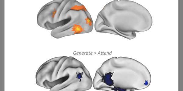FMRI And Memory Detectors - Easily Fooled