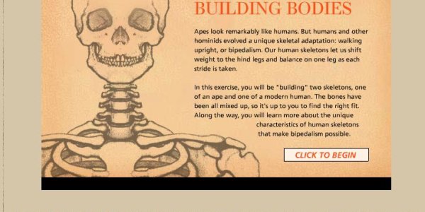 Becoming Human - Evolution Insight For All Ages