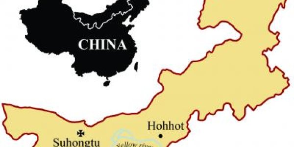 Dinosaur Social Snapshot - Herd Of Dinosaurs Died At The Same Time