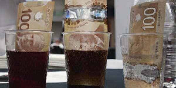 Filthy Rich: The Microbial Jungle In Your Pocket