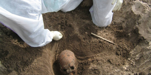 Viking DNA Extracted From 1,000 Year Old Skeleton