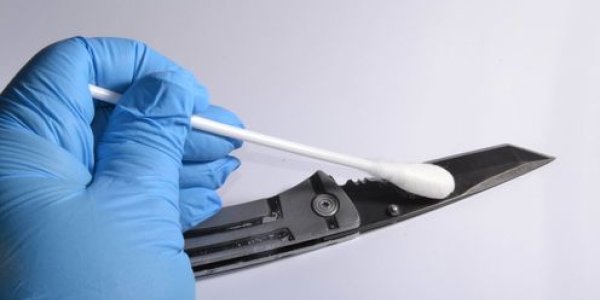 Rethinking The Relationship Between Forensic Evidence And The Law