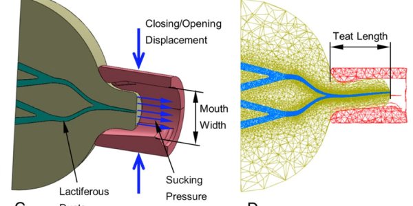 Is Your Baby Smarter Than A PNAS Editor?