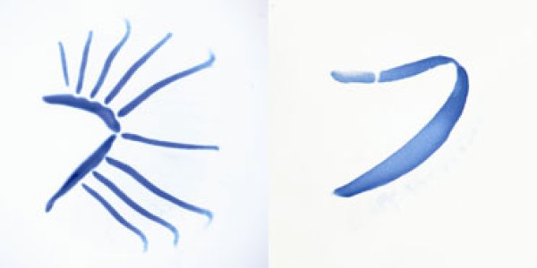 Evolution Of Fins And Limbs Linked To Gills