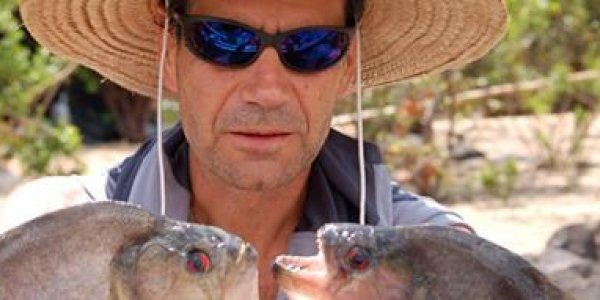 Black Piranha Vs Megapiranha For Most Powerful Bite Ever