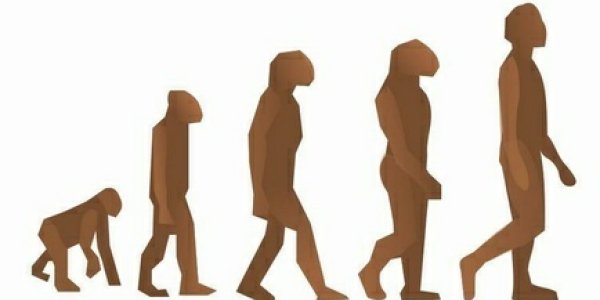 Acceptance Of Evolution Is Far Higher Than Acceptance Of Other Biology