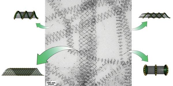 Self Assembling Nanotubes Get Inspiration From DNA