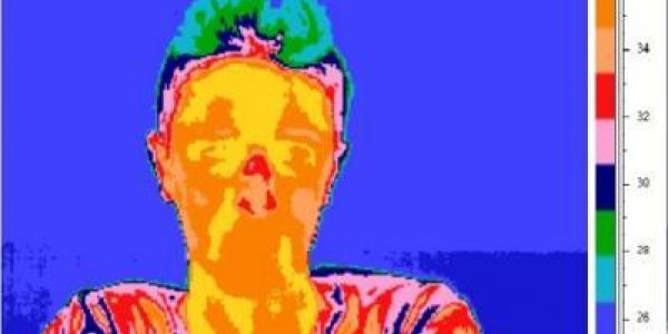 Thermography: Lying And The Thermal Footprint Of Flamenco