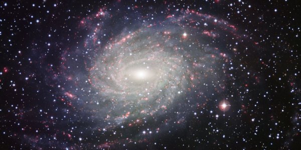 NGC 6744 - New Image Looks Like Milky Way's 'Twin'