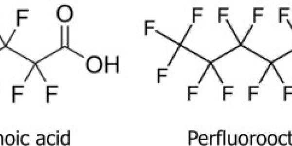 Perfluorinated Polar Bears?