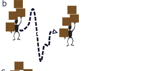 A Scientific Approach to Science Education - Reducing Cognitive Load