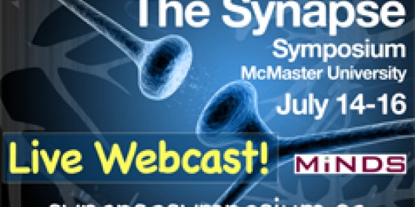 Getting Fired Up About Synapses