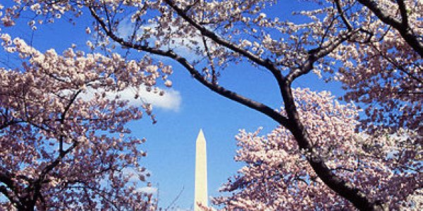 Japan's Nuclear Emergency - The Straight Goods - Update