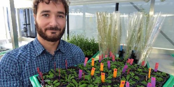 How Plants Turn Into Zombies