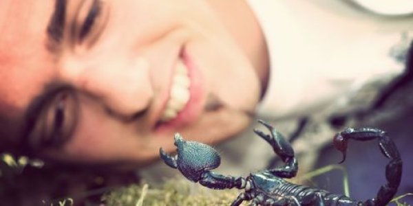 Scorpion Venom Could Lead To New Cancer Treatment