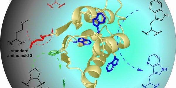 Genetic Code 2.0 - 3 Synthetic Amino Acids Combined Into One Protein