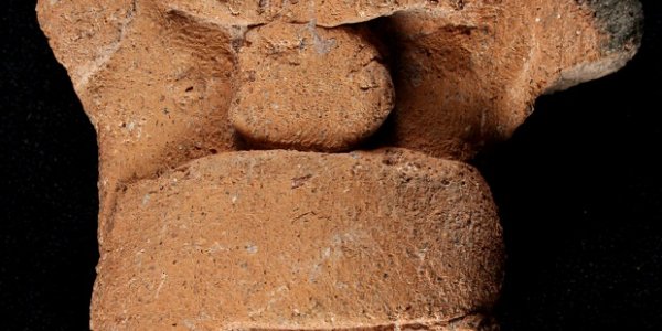 Sports Leads To Advanced Civilization