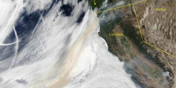 The Toll Of Wildfire On Forest Soils