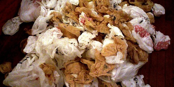 Plastic Company’s Unscientific Biodegradability Claims Barred by FTC