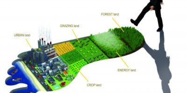 What Good Are Footprints?