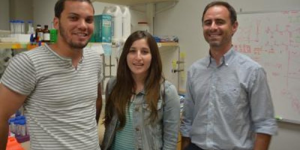 Researchers Discover 'Trojan Horse' Method Of Penetrating Cellular Walls Without Harm