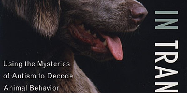 Are Animals Intelligent ... Enough?