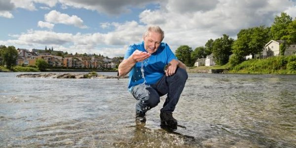 Hormone Mimics: A New Way To Capture Them