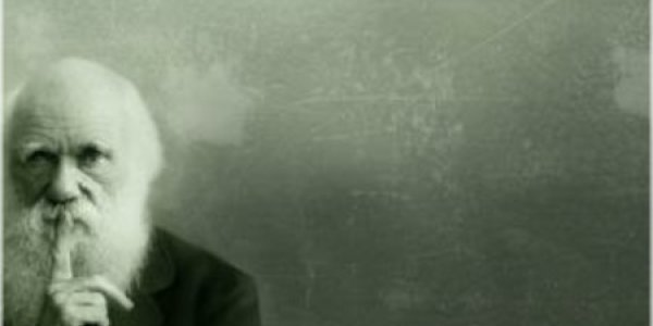 Darwin And The Origin Of Life