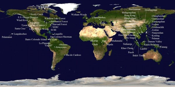 If Trees Could Talk What Tales They'd Tell