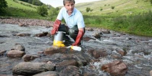 Urban Rivers In Britain Cleanest Since 1991