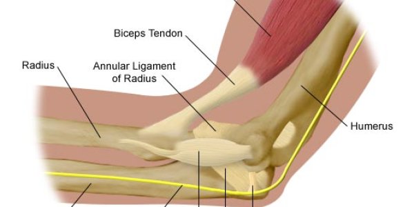 Predicting Which Players Will Need Tommy John Surgery May Reduce Their Risk