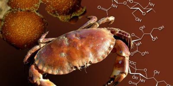 Genetic Modification Plus Big Pharm Equals Anti-Science Hippie Meltdown