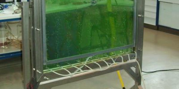 Closed Photo-Bioreactors Boost Algae As Energy Source
