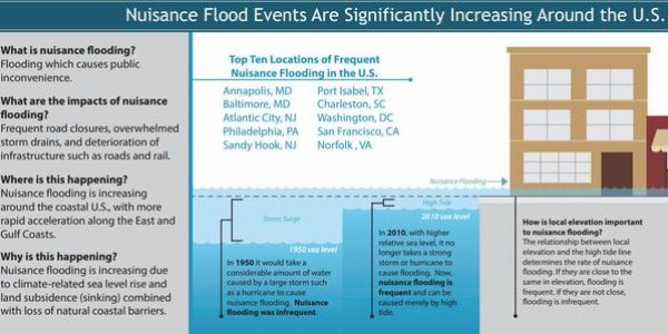 Forget 20 Foot Sea Rise Hype, Nuisance Flooding Will Get Action Taken