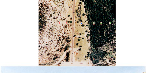 Scorpion Divergence In ''Evolution Canyon''