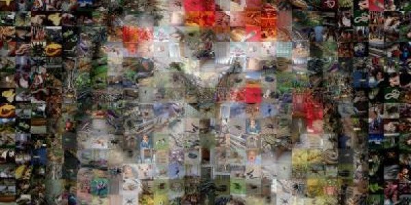 Cracking The Code Of How The Brain Processes Emotions