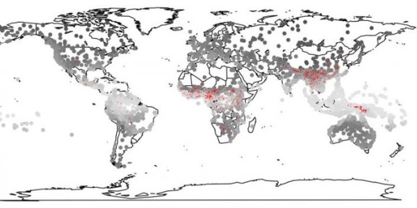 Climate Change May Shape Languages Too