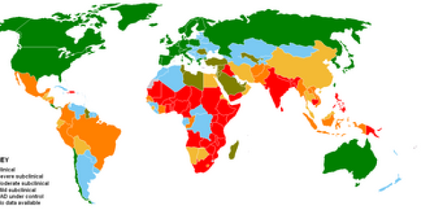 Golden Rice, Golden Opportunity