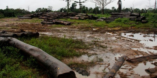 Should Norway Be Paying Liberia To Stop Cutting Down Forests?