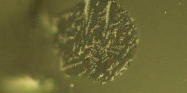 Water Inside The Moon - A Lot Of It