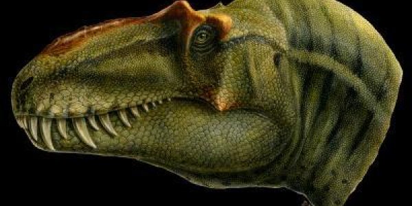 Lythronax Argestes: The Dinosaur King Of Gore