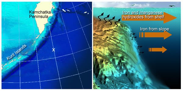 Iron And The North Pacific - Can It Affect Climate Change?