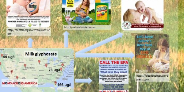 Sorry, NRDC, Breast Milk Is Glyphosate Free