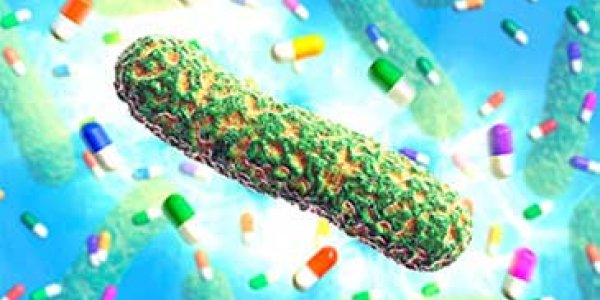 Scissoring The Lipids May Lead To Tuberculosis Vaccine