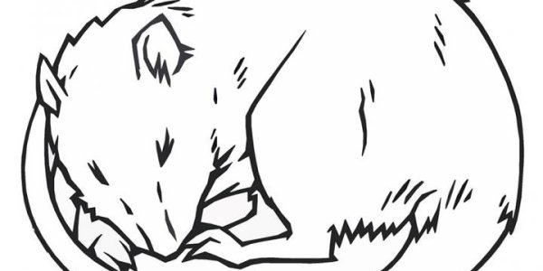 Rats Dream Paths To A Brighter Future