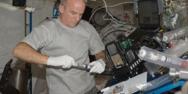 Plant Growth In Zero Gravity